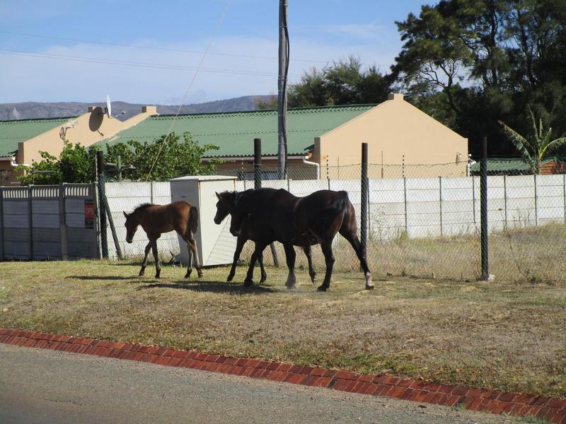 0 Bedroom Property for Sale in Fisherhaven Western Cape